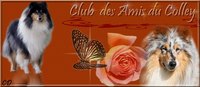Notre Club de Référence Notre Club de Référence