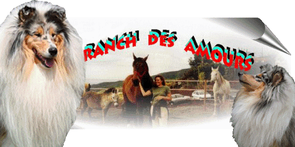 LE RANCH DES AMOURS LE RANCH DES AMOURS
